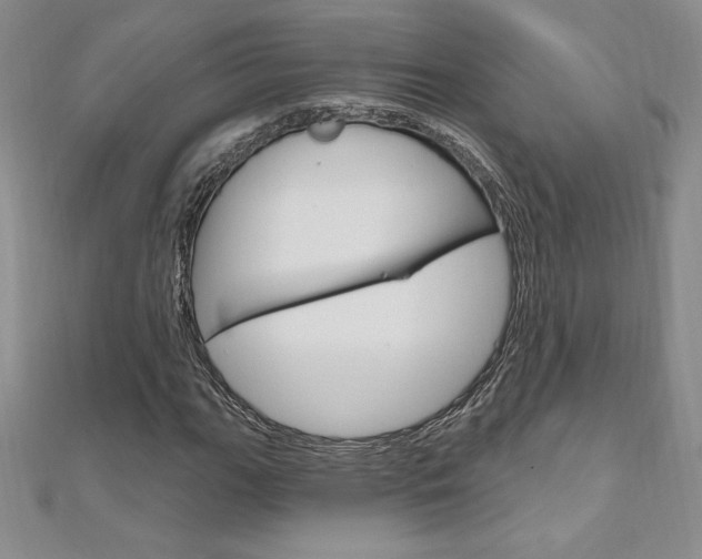 X0000112021111200908031036