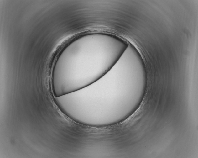 X0000112021115200908031036