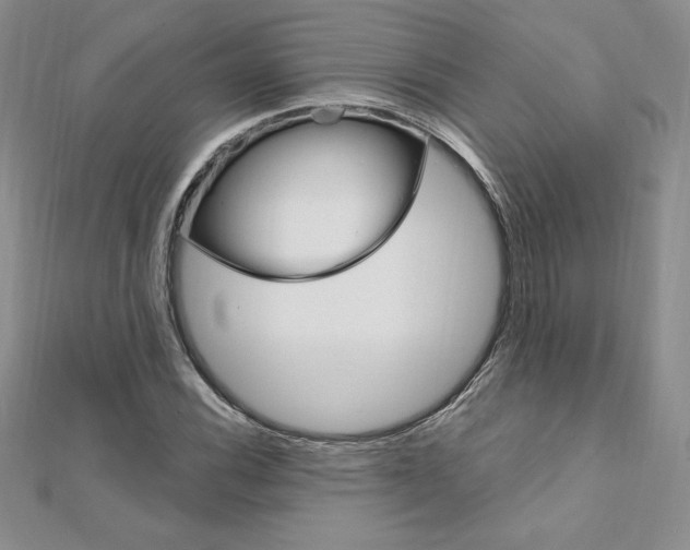 X0000112021116200908031036