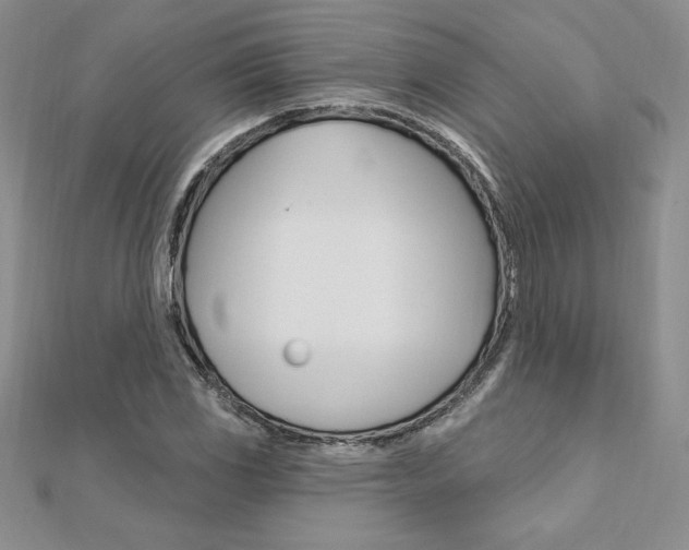 X0000112021117200908031036