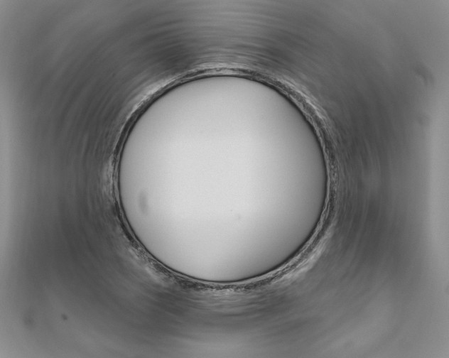 X0000112021121200908031036