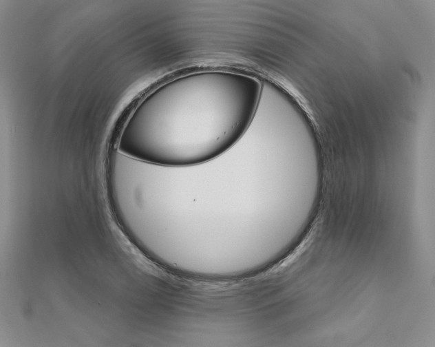 X0000112021122200908031036