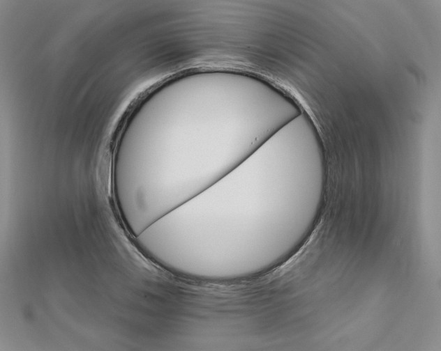 X0000112021123200908031036