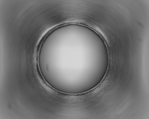X0000112021124200908031036