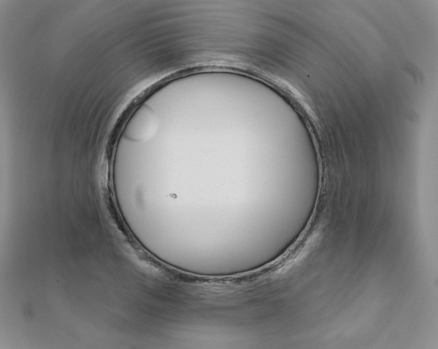 X0000112021125200908031036