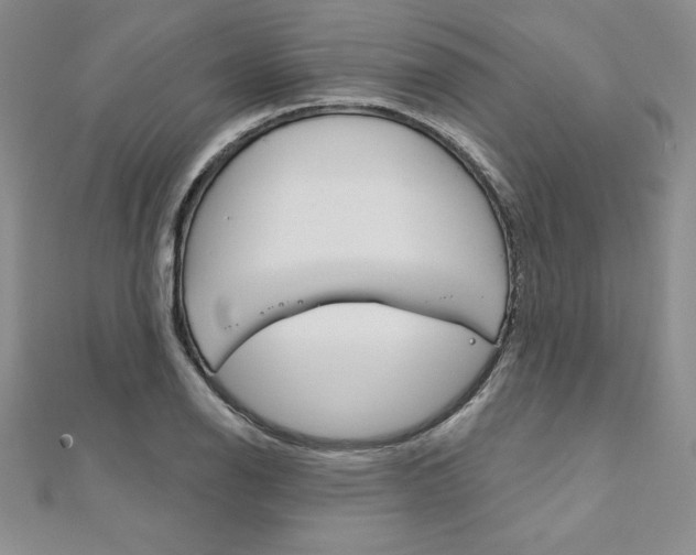 X0000112021126200908031036