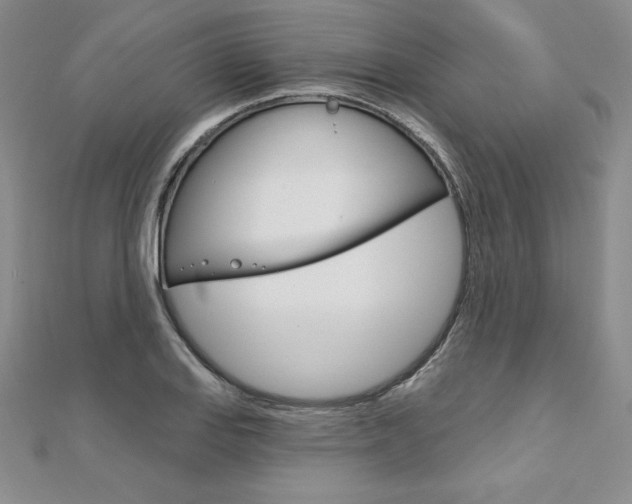 X0000112021127200908031036