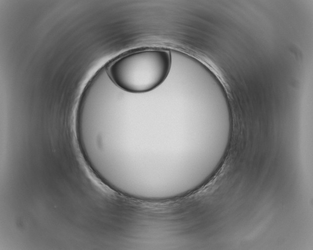 X0000112021128200908031036