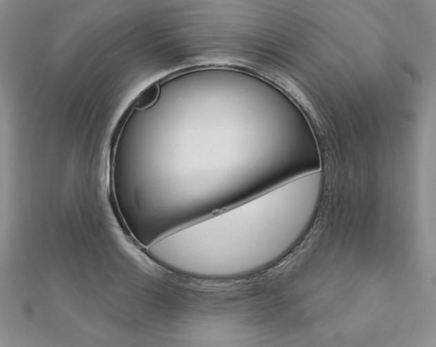 X0000112021132200908031036