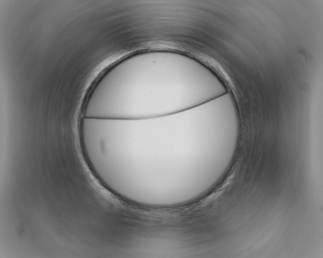 X0000112021133200908031036
