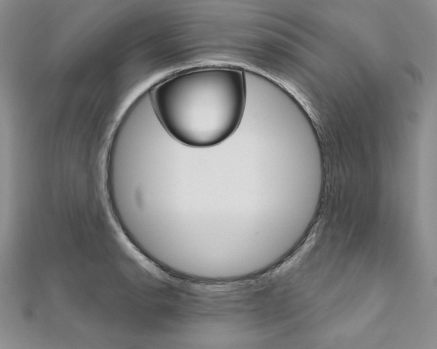 X0000112021134200908031036