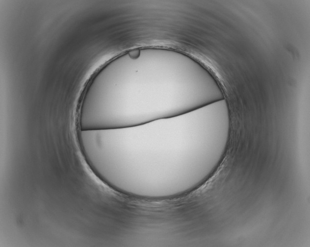 X0000112021135200908031036