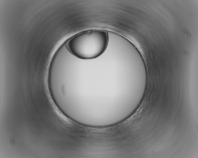 X0000112021136200908031036