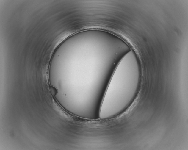 X0000112021137200908031036
