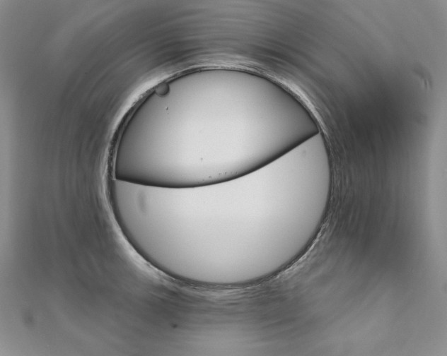 X0000112021139200908031036