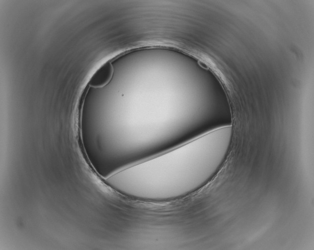 X0000112021140200908031036
