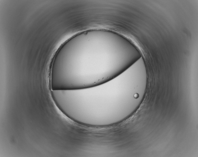 X0000112021143200908031037