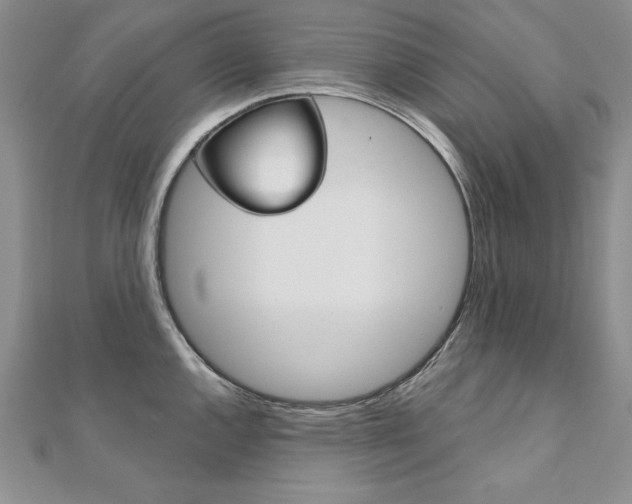 X0000112021144200908031037