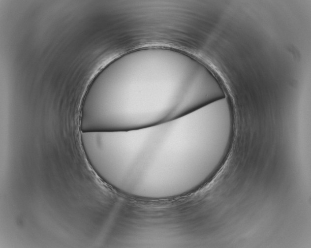 X0000112021145200908031037