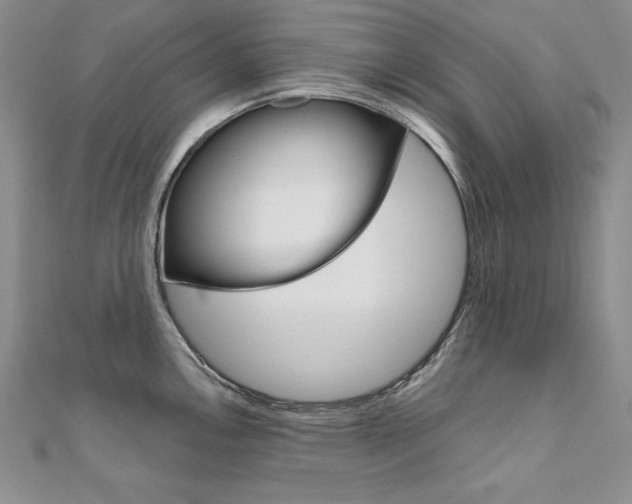 X0000112021146200908031037
