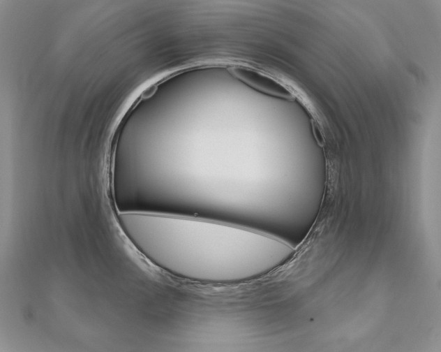 X0000112021148200908031037