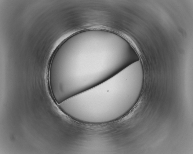 X0000112021149200908031037