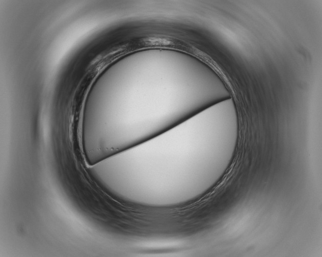 X0000112021151200908031037