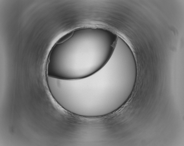 X0000112021152200908031037