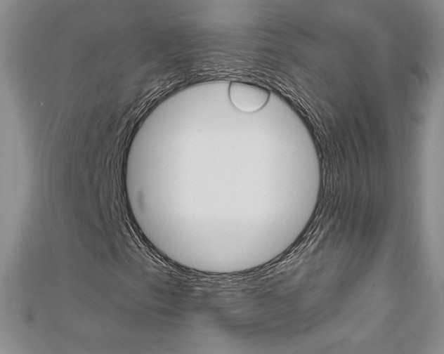 X0000112021153200908031036