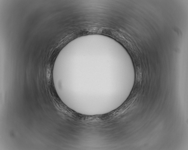X0000112021154200908031036
