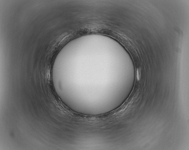 X0000112021155200908031036