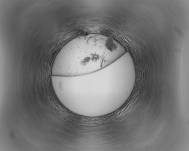 X0000112021156200908031036