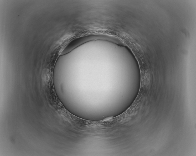 X0000112021157200908031036