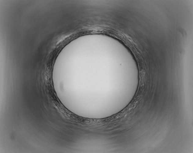X0000112021158200908031036