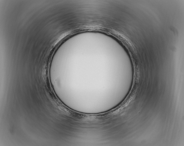 X0000112021162200908031036