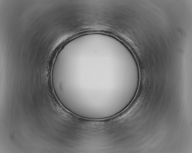X0000112021163200908031036