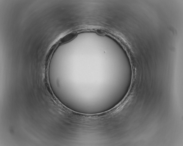 X0000112021165200908031036