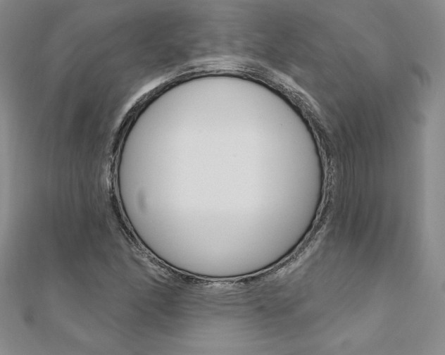 X0000112021166200908031036