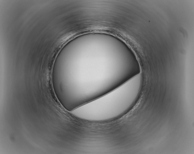 X0000112021169200908031036