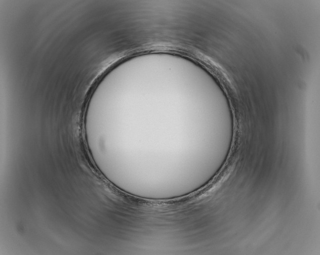 X0000112021170200908031036