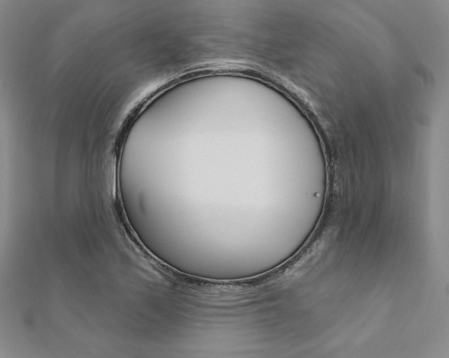 X0000112021171200908031036