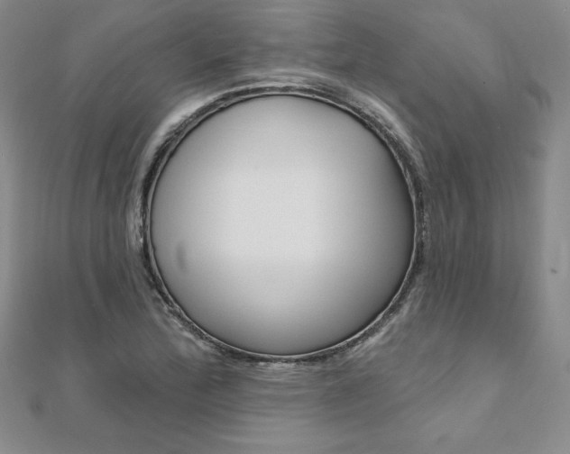 X0000112021172200908031036
