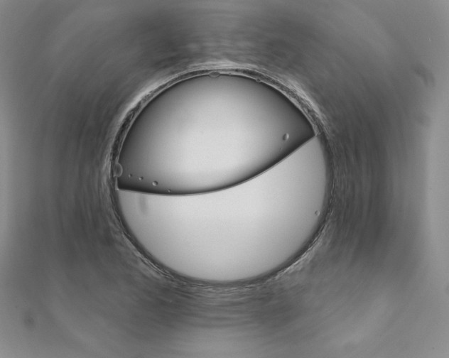 X0000112021173200908031036