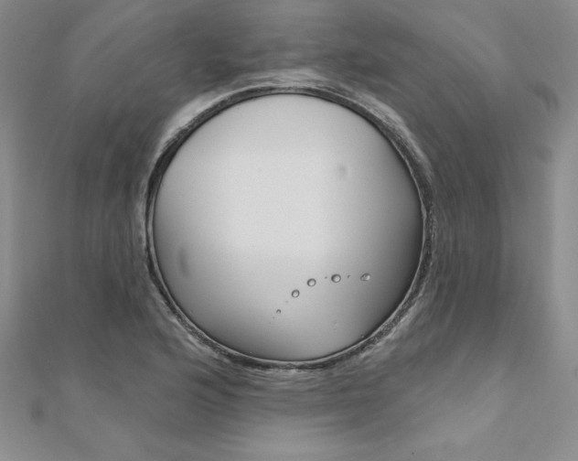 X0000112021176200908031036