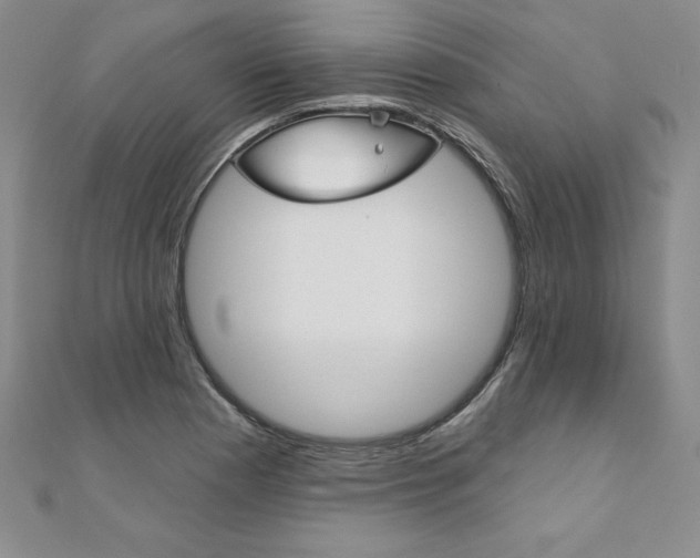 X0000112021177200908031036