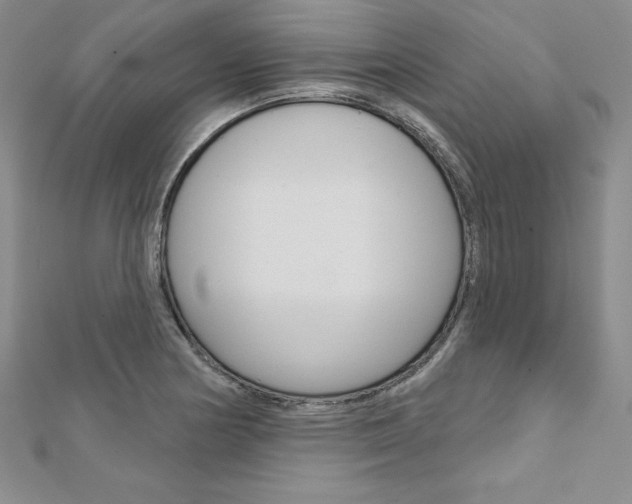 X0000112021178200908031036