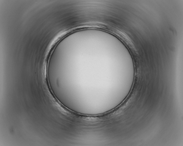 X0000112021180200908031036