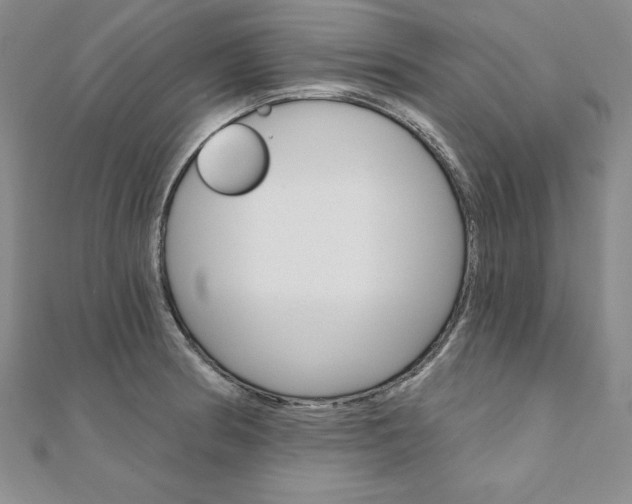 X0000112021186200908031036
