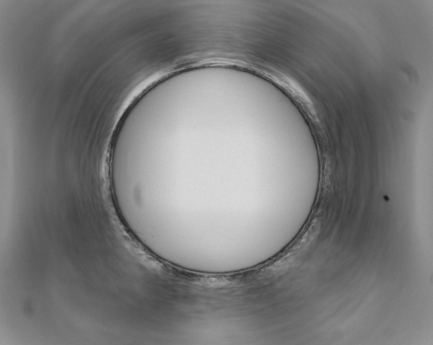X0000112021190200908031036