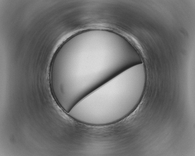 X0000112021192200908031036